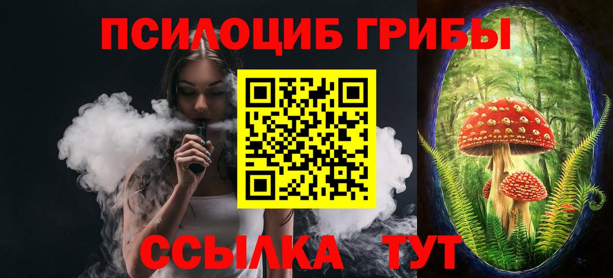 Псилоцибиновые грибы Psilocybine cubensis  Вход с VPN  Комсомольск-на-Амуре 
