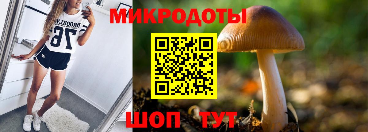 Псилоцибиновые грибы GOLDEN TEACHER Комсомольск-на-Амуре